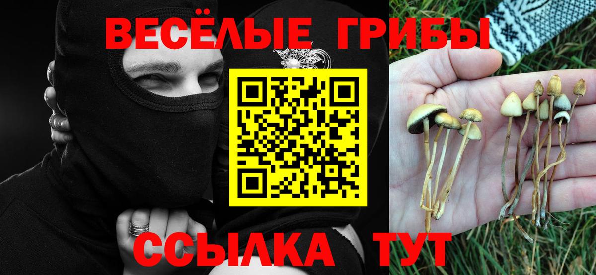 Санкт-Петербург  Галлюциногенные грибы прущие грибы  Вход с VPN 