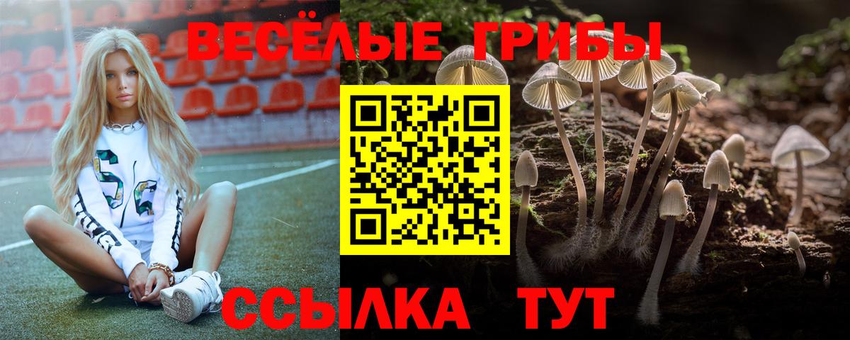 Псилоцибиновые грибы мицелий Санкт-Петербург